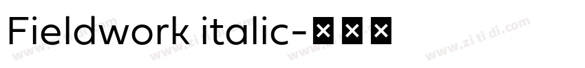 Fieldwork italic字体转换
